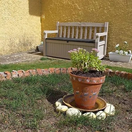 Alameda Con Chimenea Y Jardin * El Barco de Avila